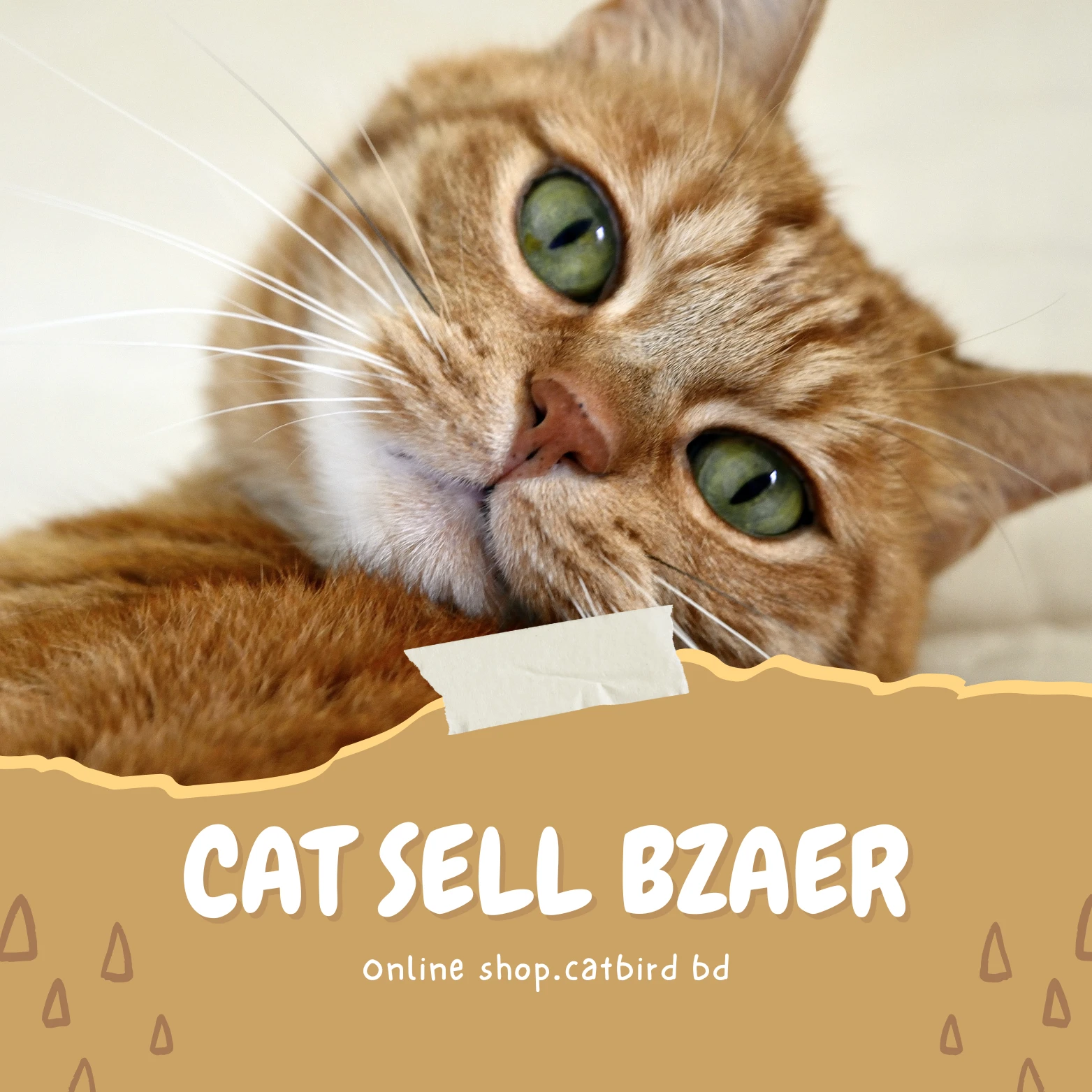 Cat Sell Bazar