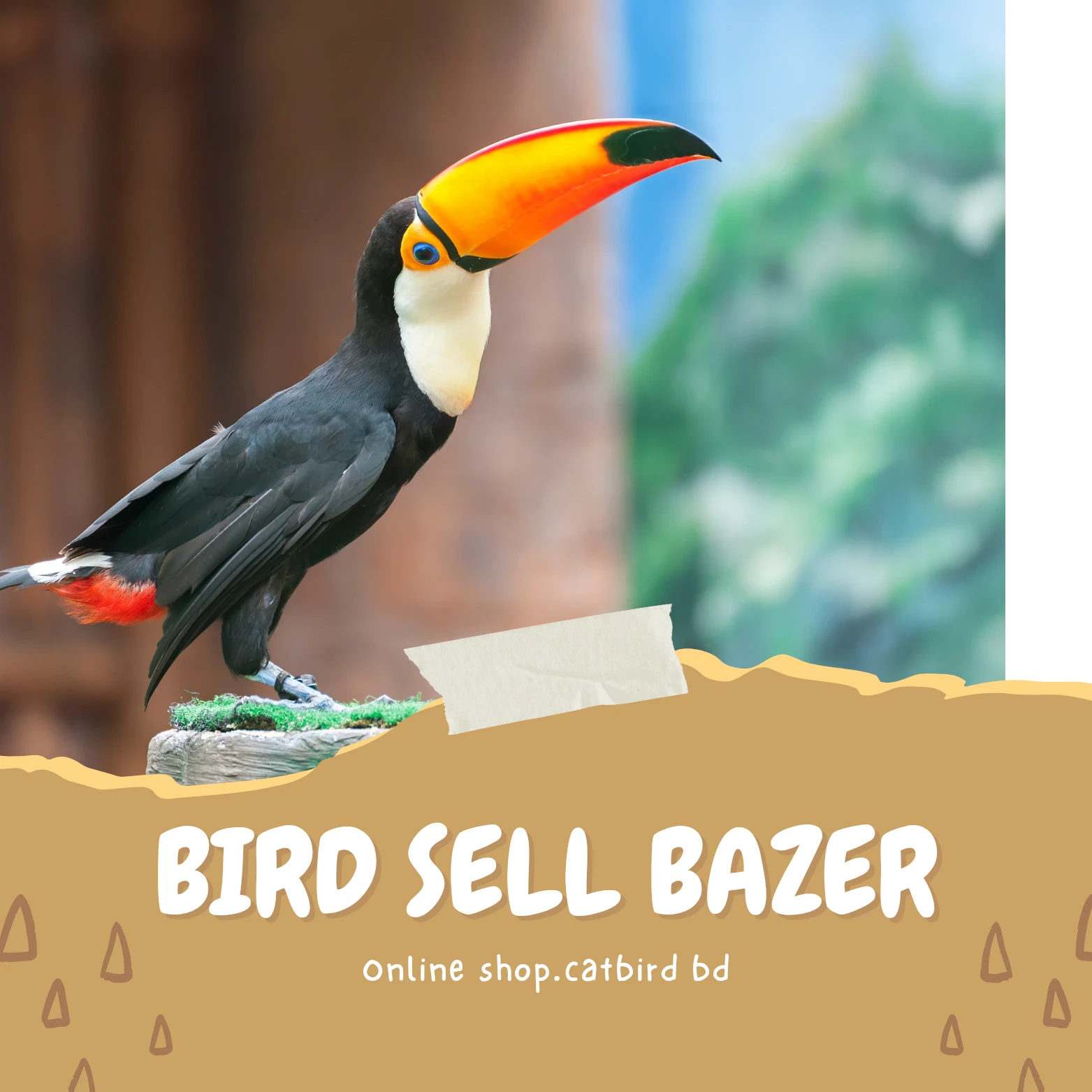 Bird Sell Bazer